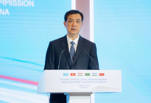 Chinese official highlights investment co-op with Central Asia