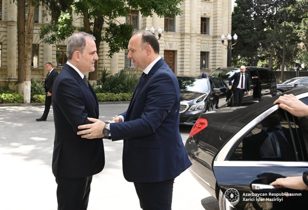 Azerbaijan, North Macedonia discuss partnership in renewables sector (PHOTO)