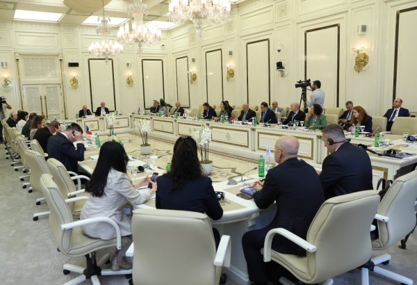 PABSEC Committee on Social and Humanitarian Policy meets in Azerbaijani Baku anew (PHOTO)