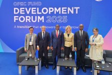 Azerbaijan discusses economic priorities at OPEC Int'l Development Fund forum (PHOTO)