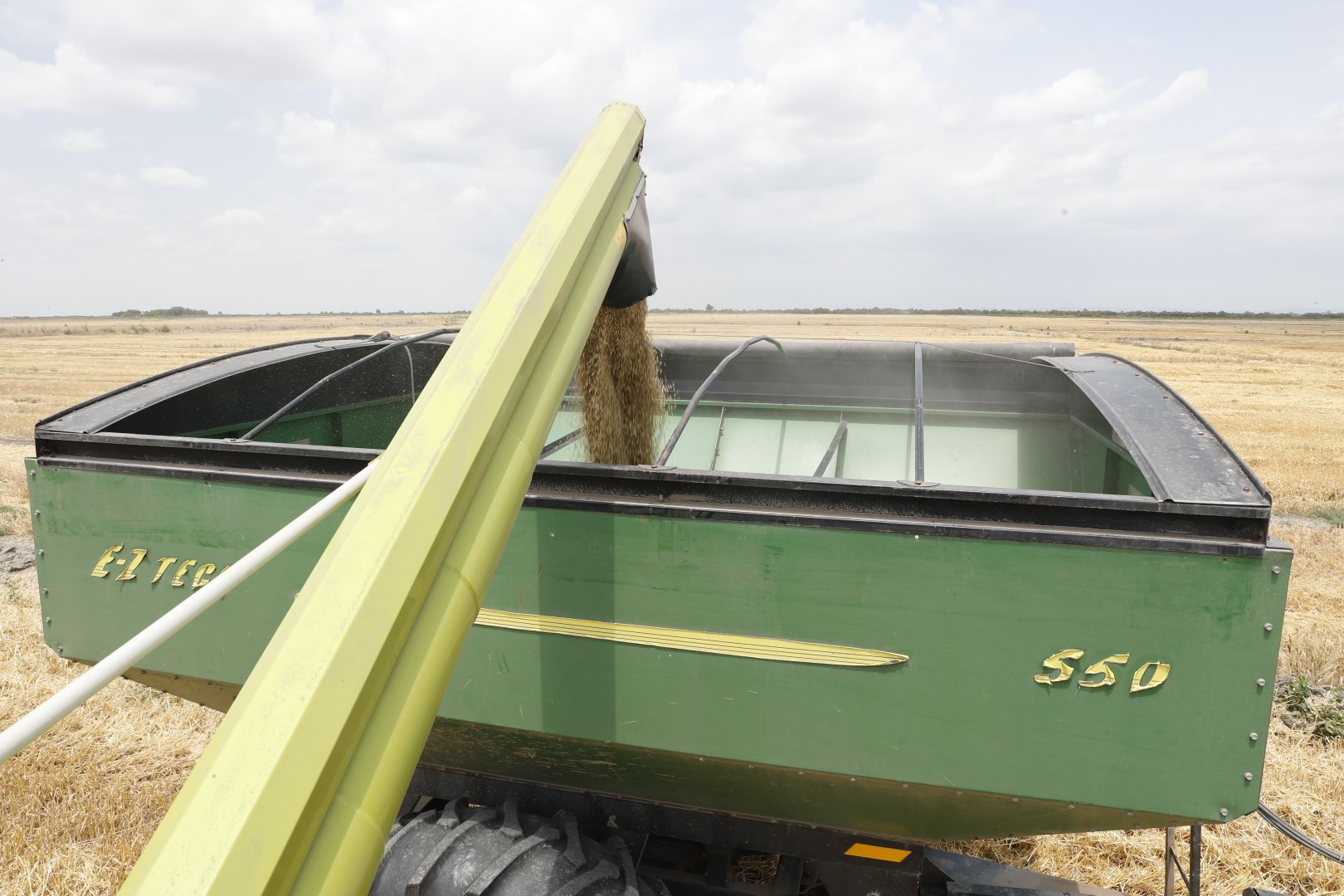 Azerbaijan tracks progress of grain harvest in local sown areas