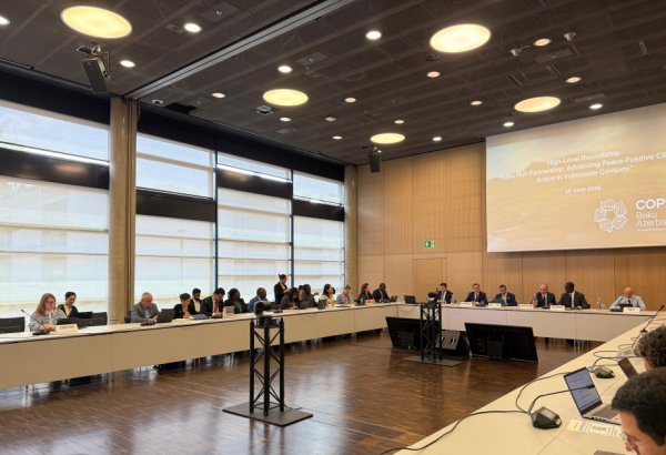 Azerbaijan’s “Climate and Peace” diplomacy gains broad international support (PHOTO)