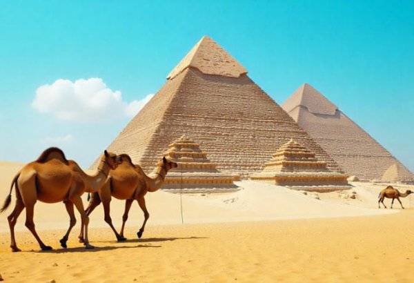 Uzbekistan shows heightened travel appetite for Egypt
