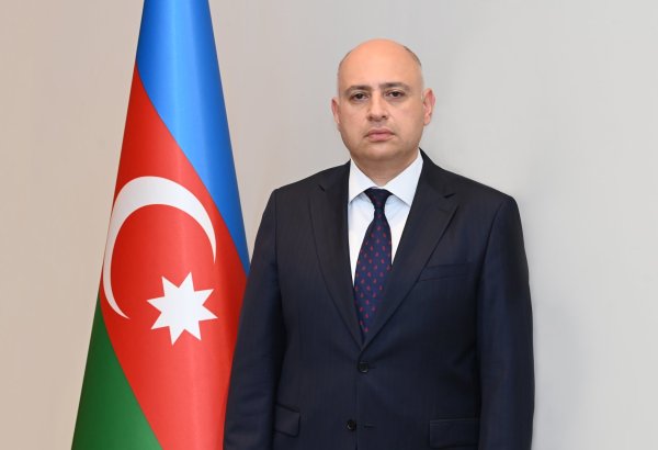 Azerbaijani senior official paints nation's weight in Eurasian logistics landscape