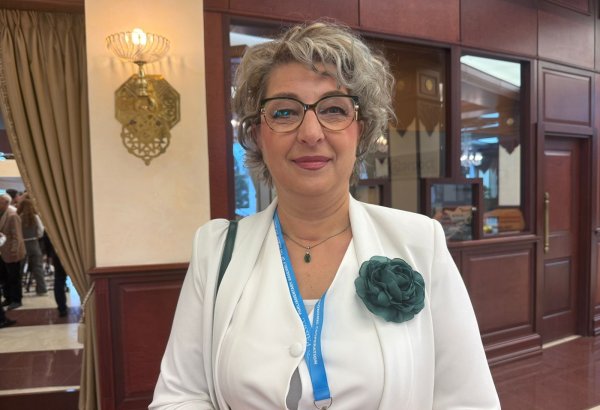 North Macedonia sees strong potential for green energy cooperation with Azerbaijan – MP