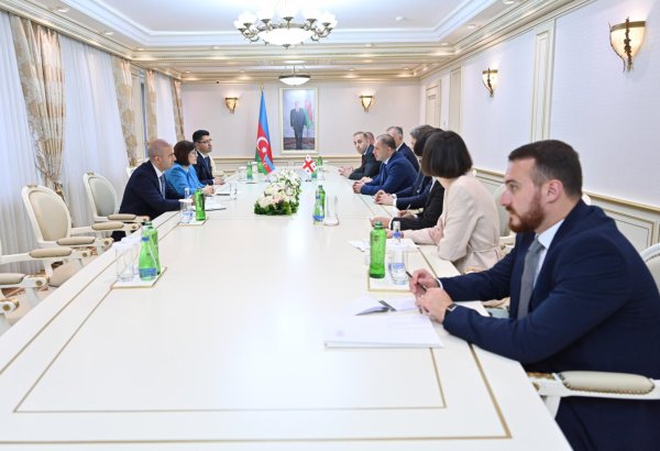 Azerbaijan, Georgia explore elevating ties to strategic partnership level (PHOTO)