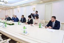 Azerbaijan, Georgia explore elevating ties to strategic partnership level (PHOTO)