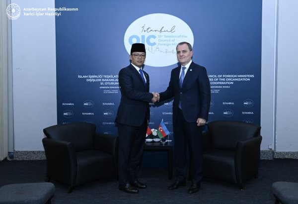 Azerbaijan, Indonesia discuss current issues on agenda of cooperation (PHOTO)