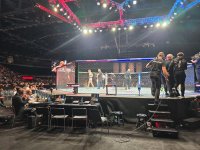 UFC Fight Night: winner of women’s featherweight preliminary bout between fighters from England and Russia determined (PHOTO)