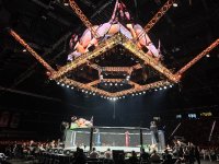 UFC Fight Night: winner of women’s featherweight preliminary bout between fighters from England and Russia determined (PHOTO)