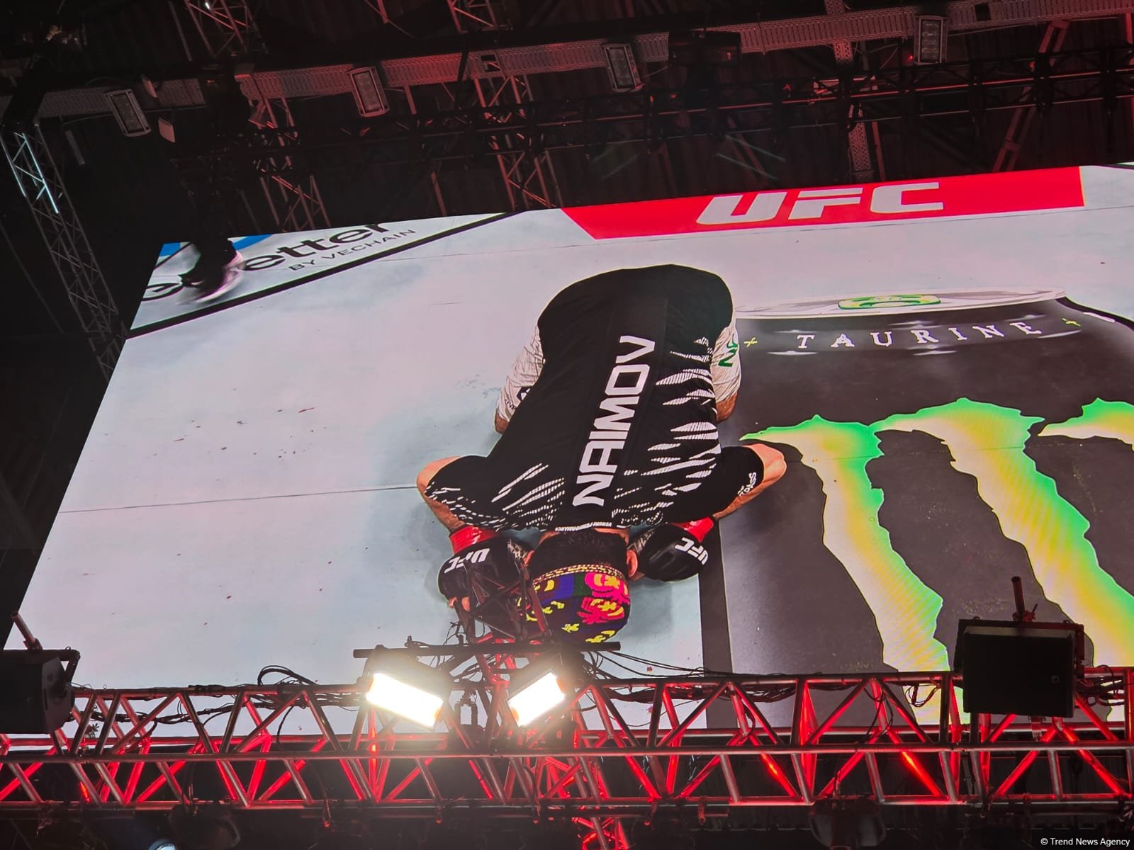 UFC Fight Night: winner of featherweight main card bout between fighters from Tajikistan and Austria determined (PHOTO)