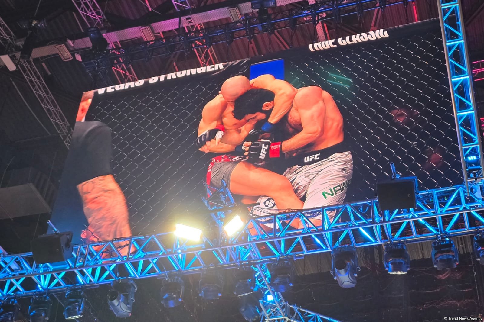 UFC Fight Night: winner of featherweight main card bout between fighters from Tajikistan and Austria determined (PHOTO)