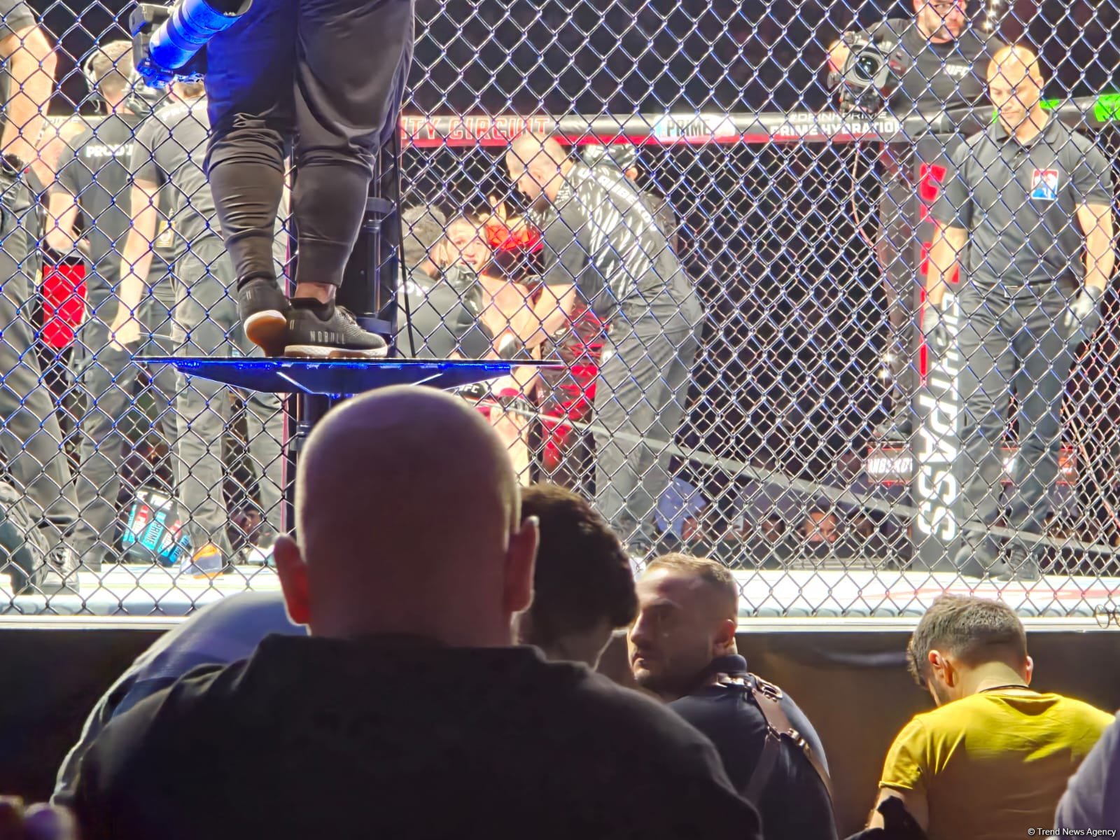 UFC Fight Night: winner of flyweight preliminary bout between fighters from Russia and Kazakhstan determined (PHOTO)