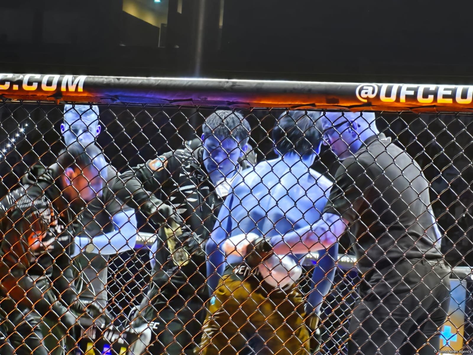 UFC Fight Night: winner of flyweight preliminary bout between fighters from Russia and Kazakhstan determined (PHOTO)