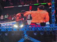 UFC Fight Night: winner of heavyweight main card bout between fighters from US and Russia determined (PHOTO)