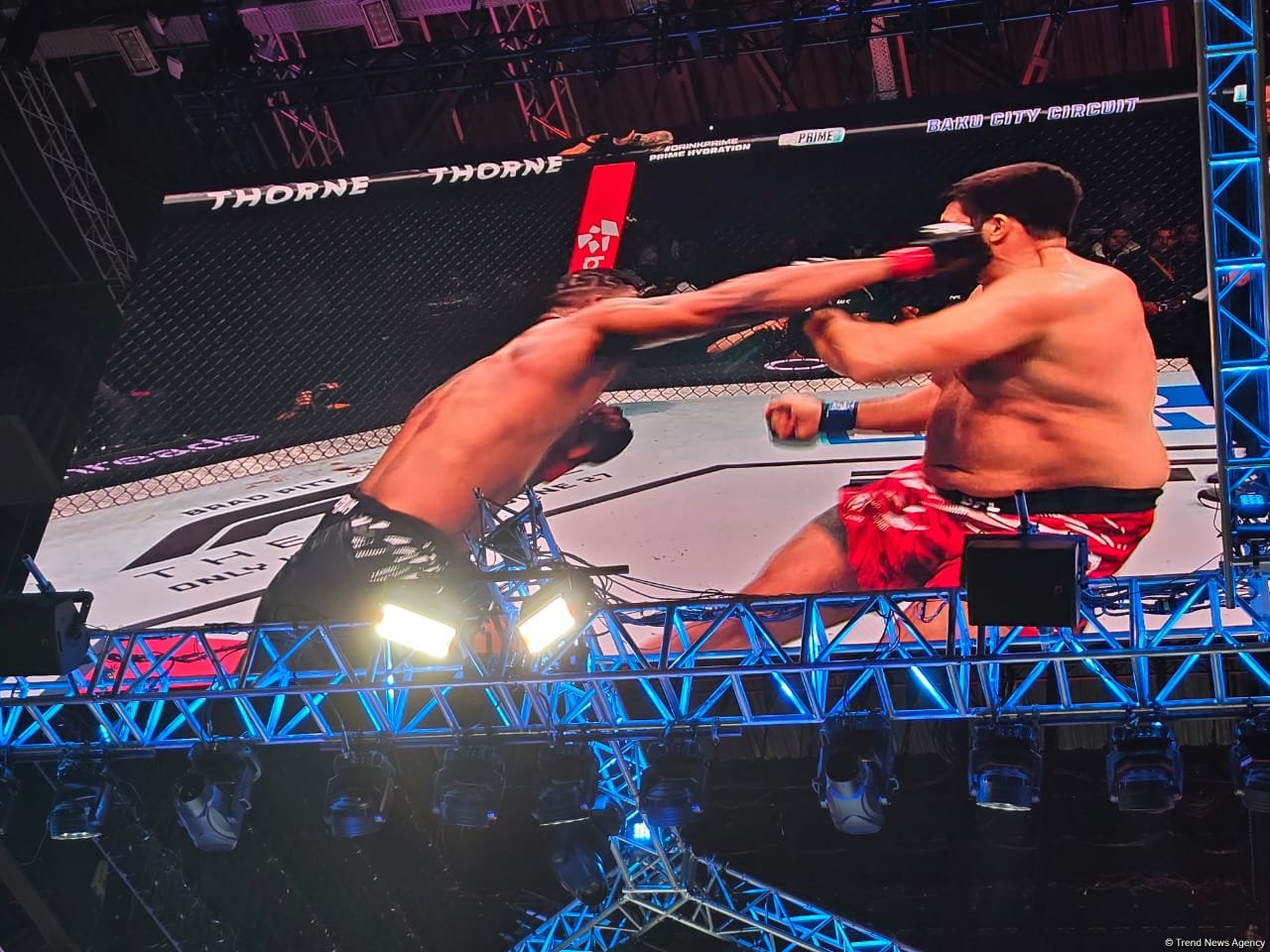 UFC Fight Night: winner of heavyweight main card bout between fighters from US and Russia determined (PHOTO)
