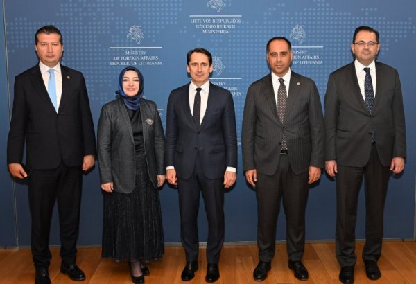 Lithuania highlights business and security collaboration with Türkiye