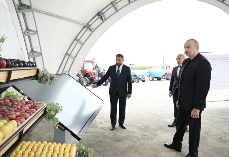 President Ilham Aliyev attends opening of Yevlakh pilot agricultural park (PHOTO)