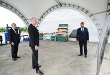 President Ilham Aliyev attends opening of Yevlakh pilot agricultural park (PHOTO)