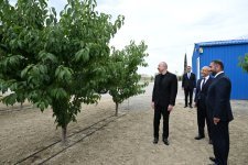 President Ilham Aliyev attends opening of Yevlakh pilot agricultural park (PHOTO)