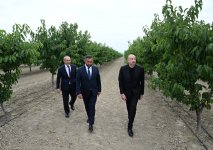 President Ilham Aliyev attends opening of Yevlakh pilot agricultural park (PHOTO)