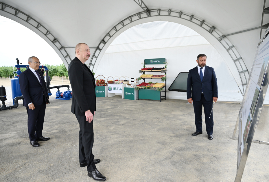 President Ilham Aliyev attends opening of Yevlakh pilot agricultural park (PHOTO)