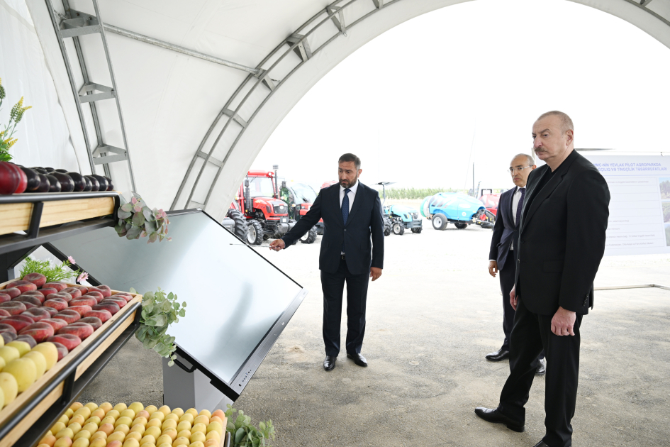 President Ilham Aliyev attends opening of Yevlakh pilot agricultural park (PHOTO)