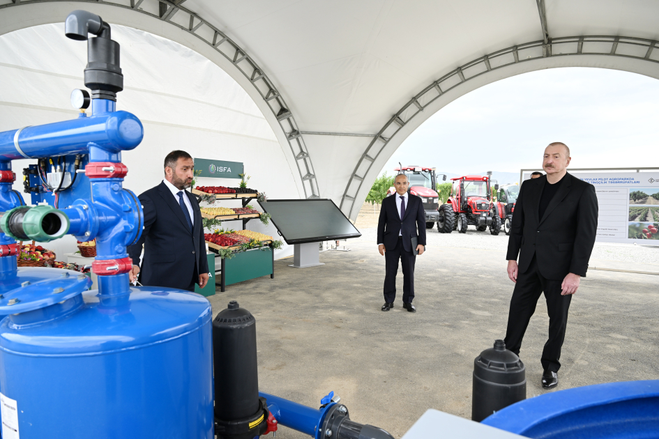 President Ilham Aliyev attends opening of Yevlakh pilot agricultural park (PHOTO)