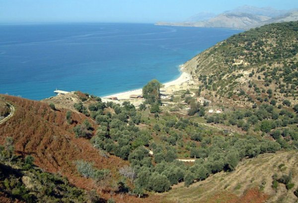Albania's agriculture sees major growth in 2024