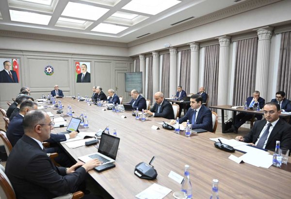 Azerbaijan's Economic Council reviews Mygov Business platform in recent meeting