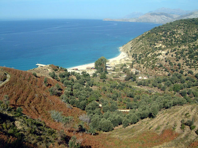 Albania's agriculture sees major growth in 2024