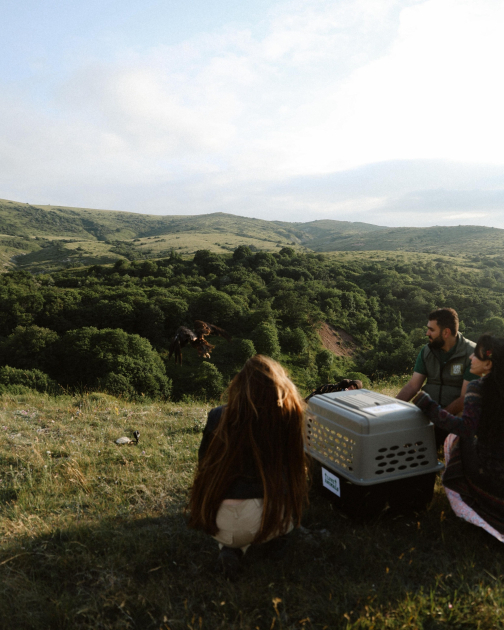 Heydar Aliyev Foundation VP Leyla Aliyeva and Head of Baku Media Center Arzu Aliyeva visit Altiaghaj National Park (PHOTO)