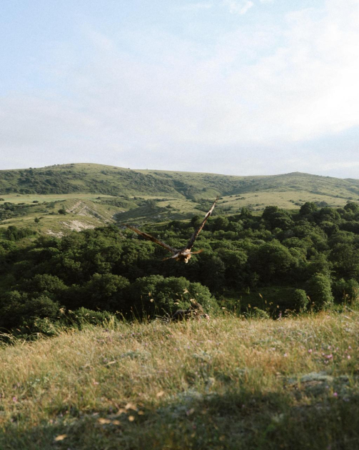 Heydar Aliyev Foundation VP Leyla Aliyeva and Head of Baku Media Center Arzu Aliyeva visit Altiaghaj National Park (PHOTO)
