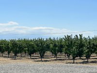 Azerbaijan's Yevlakh Pilot Agropark attracts flow of investments in latest figures (PHOTO)