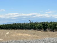 Azerbaijan's Yevlakh Pilot Agropark attracts flow of investments in latest figures (PHOTO)