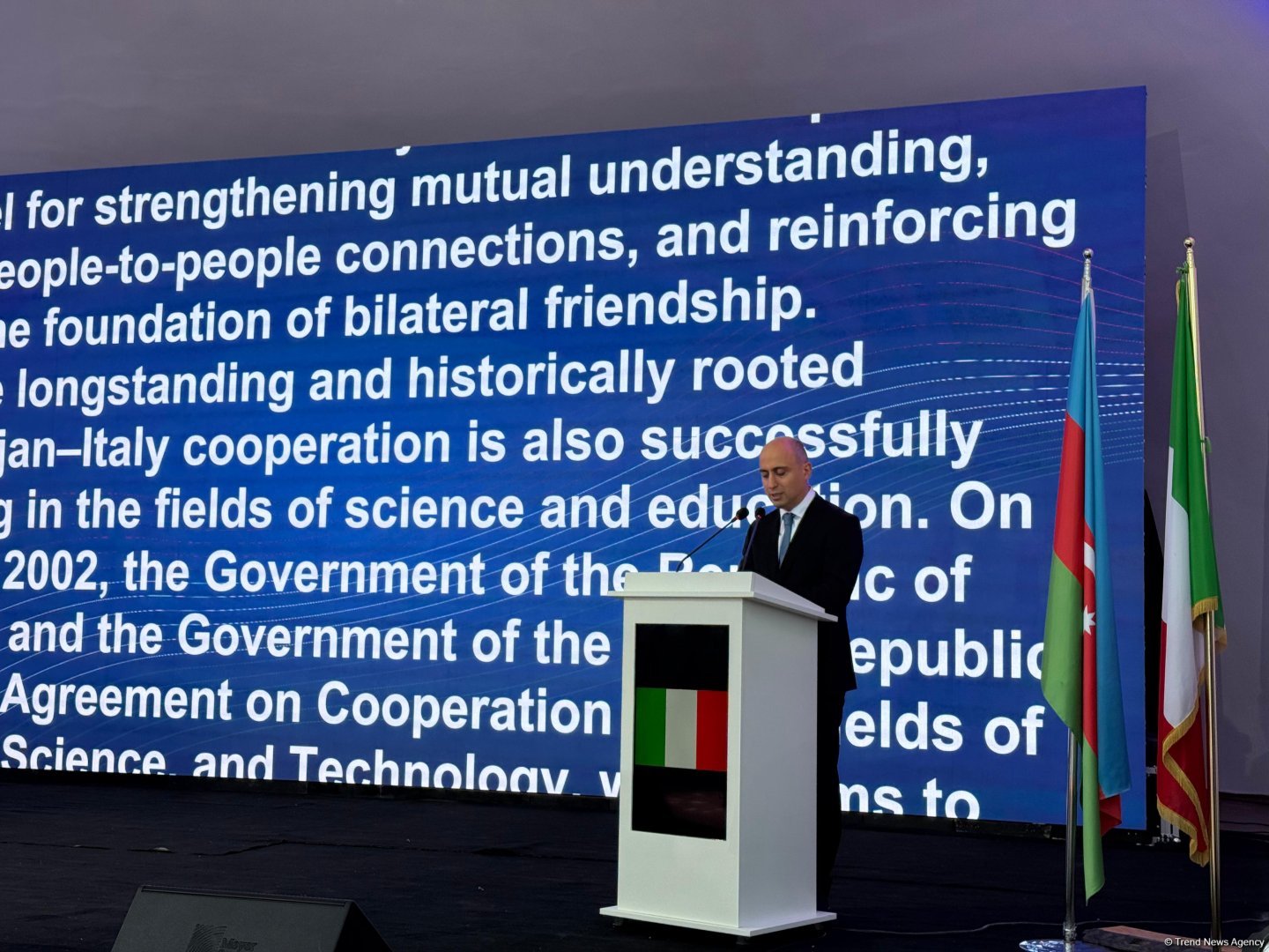Facilitation of cultural interchange serves to hike Azerbaijani-Italian rapport - minister
