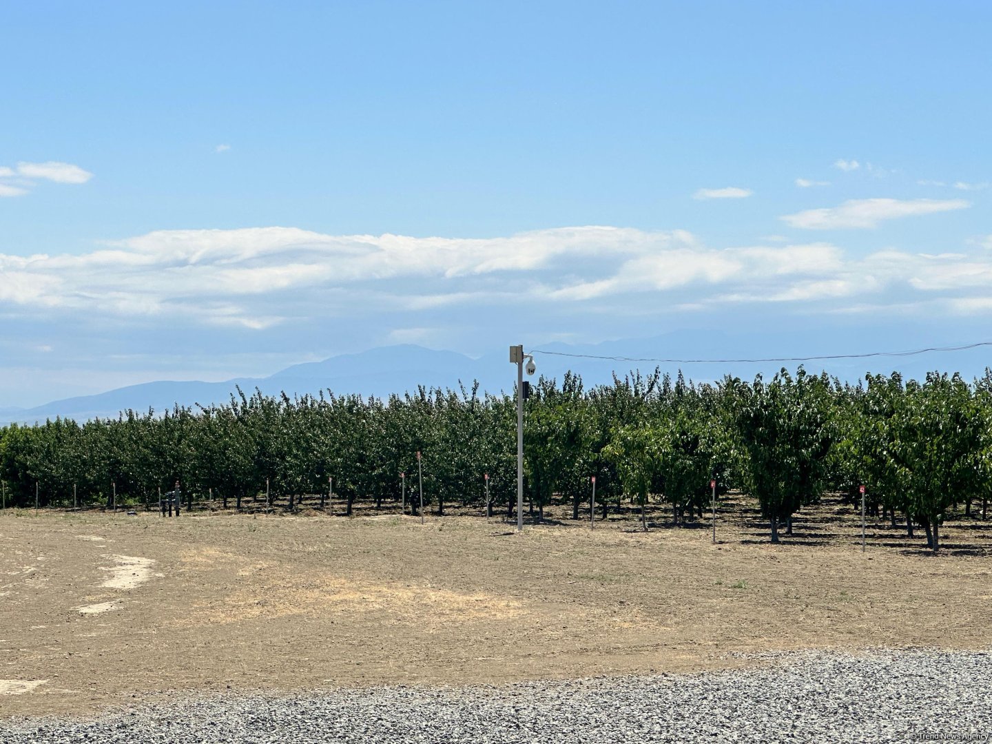 Azerbaijan's Yevlakh Pilot Agropark attracts flow of investments in latest figures (PHOTO)