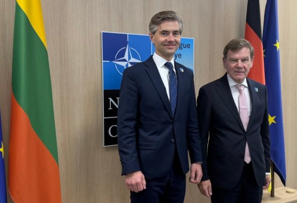 Lithuania and Germany reaffirm defense ties at NATO Summit