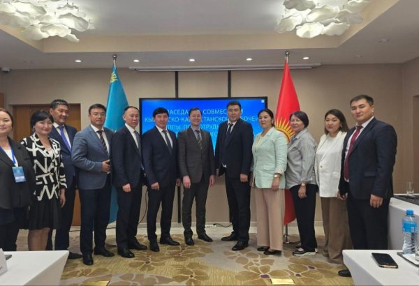 Kazakhstan, Kyrgyzstan discuss joint projects and innovative tech in agriculture