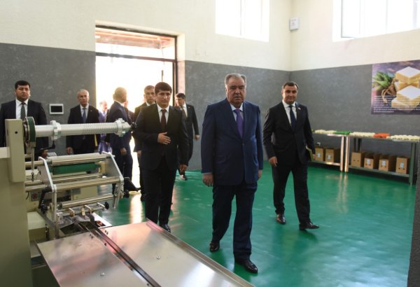New industrial park opens in Tajikistan's Vanj district