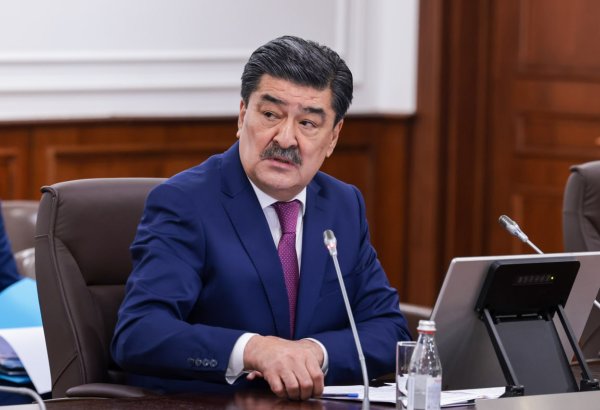 Kazakhstan aims to slash harmful emissions by 2035