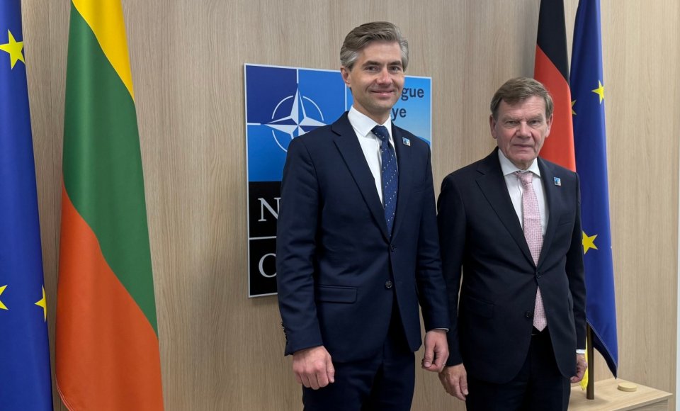 Lithuania and Germany reaffirm defense ties at NATO Summit