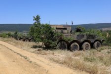 Bulgaria hosts multinational military exercise with Italy, Romania, Montenegro (PHOTO)