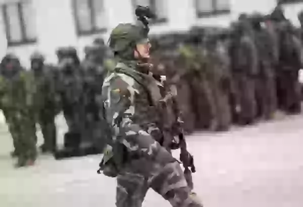 Lithuania approves major armed forces overhaul