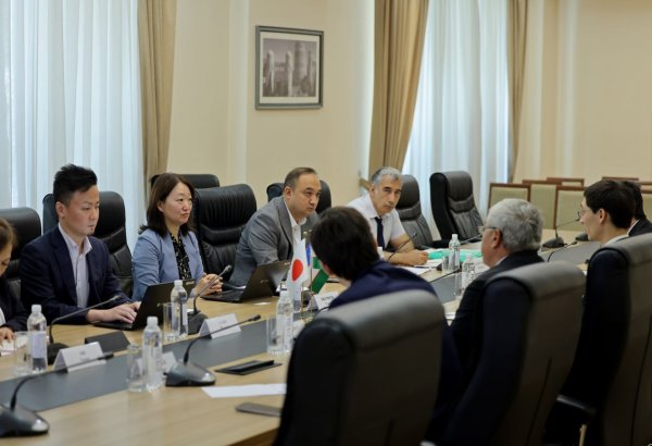 Uzbekistan and Japan discuss cooperation in private sector development (PHOTO)