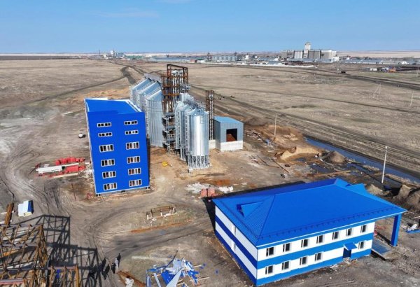 Kazakhstan launches modern grain processing plant in its Northern region