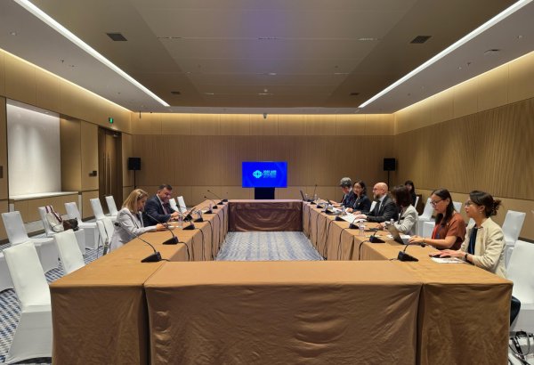 Azerbaijan and AIIB brainstorm ongoing joint projects