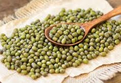 Mung bean exports reflect Uzbekistan’s agri-market growth