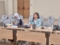 Azerbaijani MP Sevil Mikayilova joins discussions at 296th session of IPU Executive Committee in Greece
