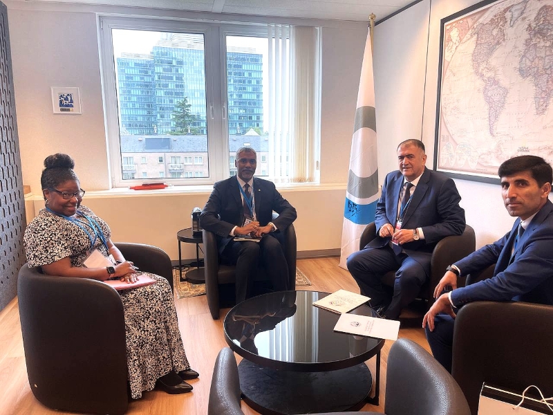 Tajikistan plans opening permanent representation in World Customs Organization
